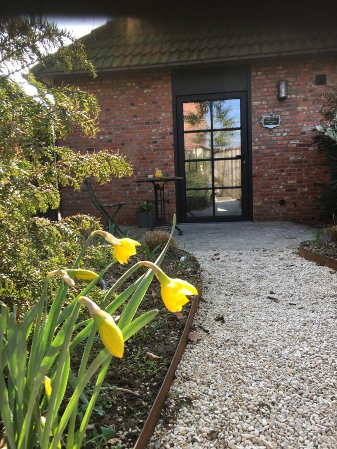 B&B Sint-Mariaburg Antwerpen Exteriör bild